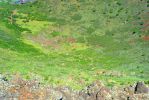 PICTURES/Capulin Volcano National Monument - New Mexico/t_Volcano Rim Trail - Path Into Plug2.JPG